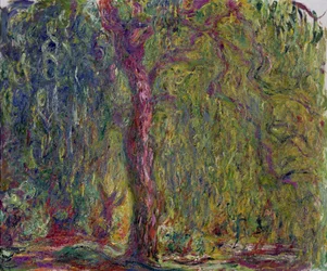Gråtpil, 1918-19